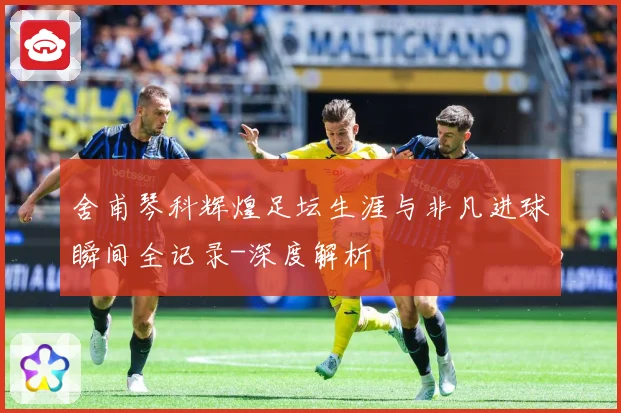 舍甫琴科辉煌足坛生涯与非凡进球瞬间全记录-深度解析