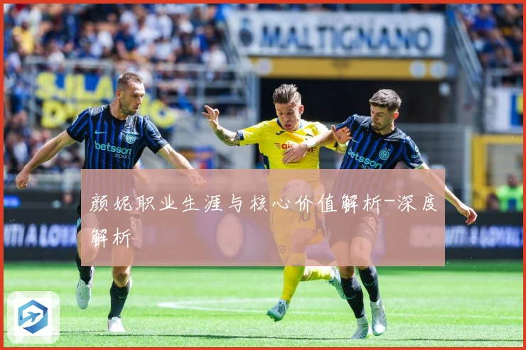 颜妮职业生涯与核心价值解析-深度解析