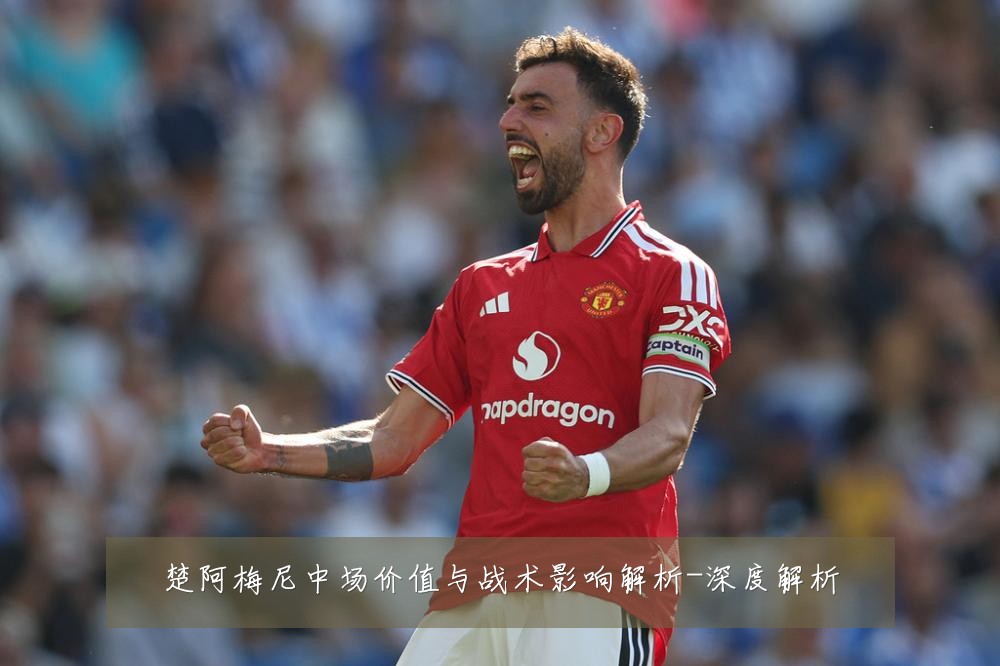 楚阿梅尼中场价值与战术影响解析-深度解析
